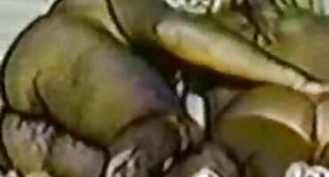 sex trong khách sạn Tomm Gun Gunn sex gai dep cums bạn gái của mình trong âm hộ của cô và kiêm đi ra.